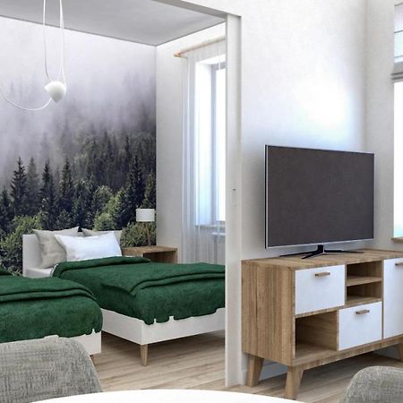 Apartament Przy Krupowkach زاكوباني المظهر الخارجي الصورة